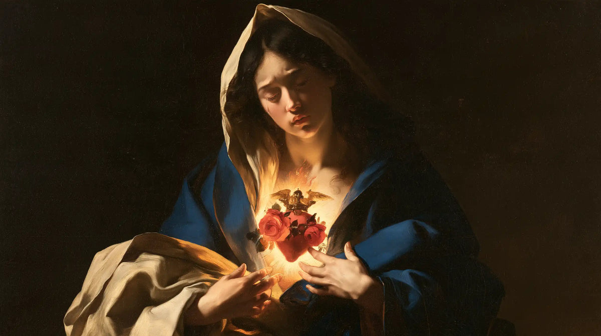 Le Cœur immaculé de Marie — Les Mains ouvertes sur la tunique de lumière