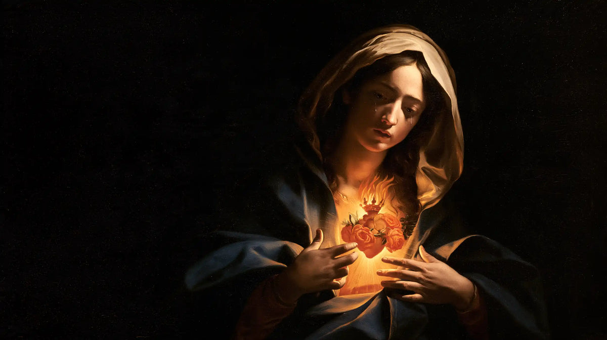 Le Cœur immaculé de Marie — La Petite Lumière sous le voile brun