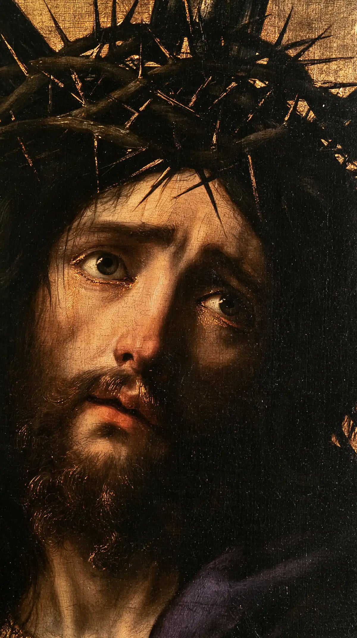 Jésus couronné d’épines — Le Regard tendre sous l’entrelacs