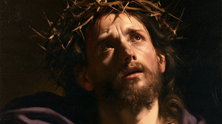Jésus couronné d’épines — Le Ciel cherché sous les épines