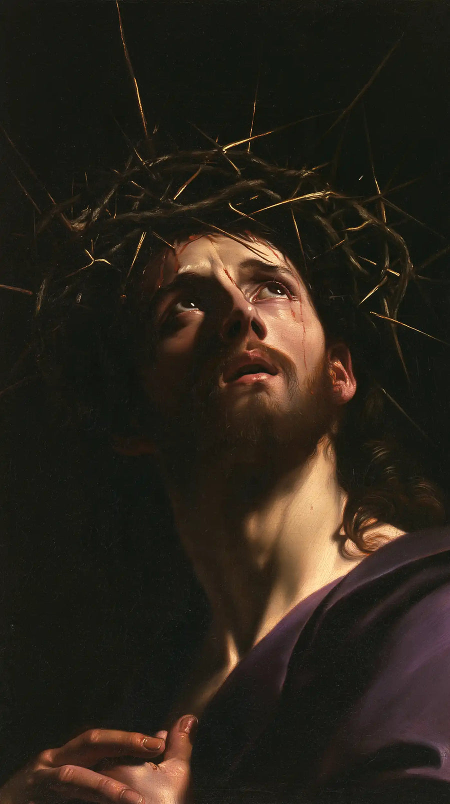 Jésus couronné d’épines — Le Regard sous la longue pointe