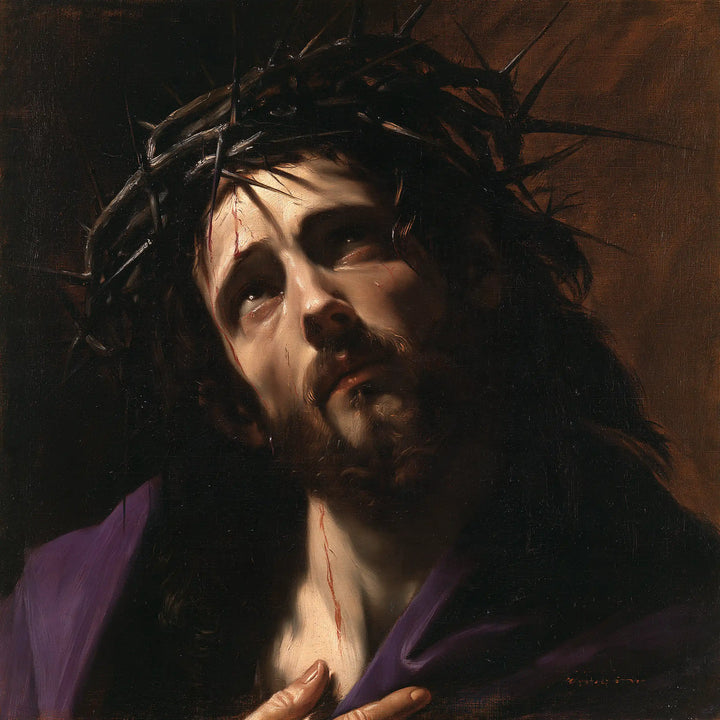 Jésus couronné d’épines — La Pourpre et le regard suppliant