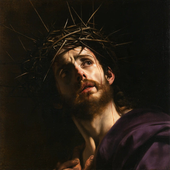 Jésus couronné d’épines — L’Élan du visage vers le jour