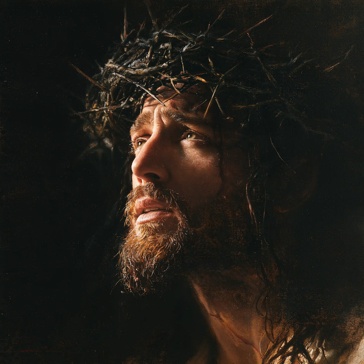 Jésus couronné d’épines — Le Profil dans le silence de suie