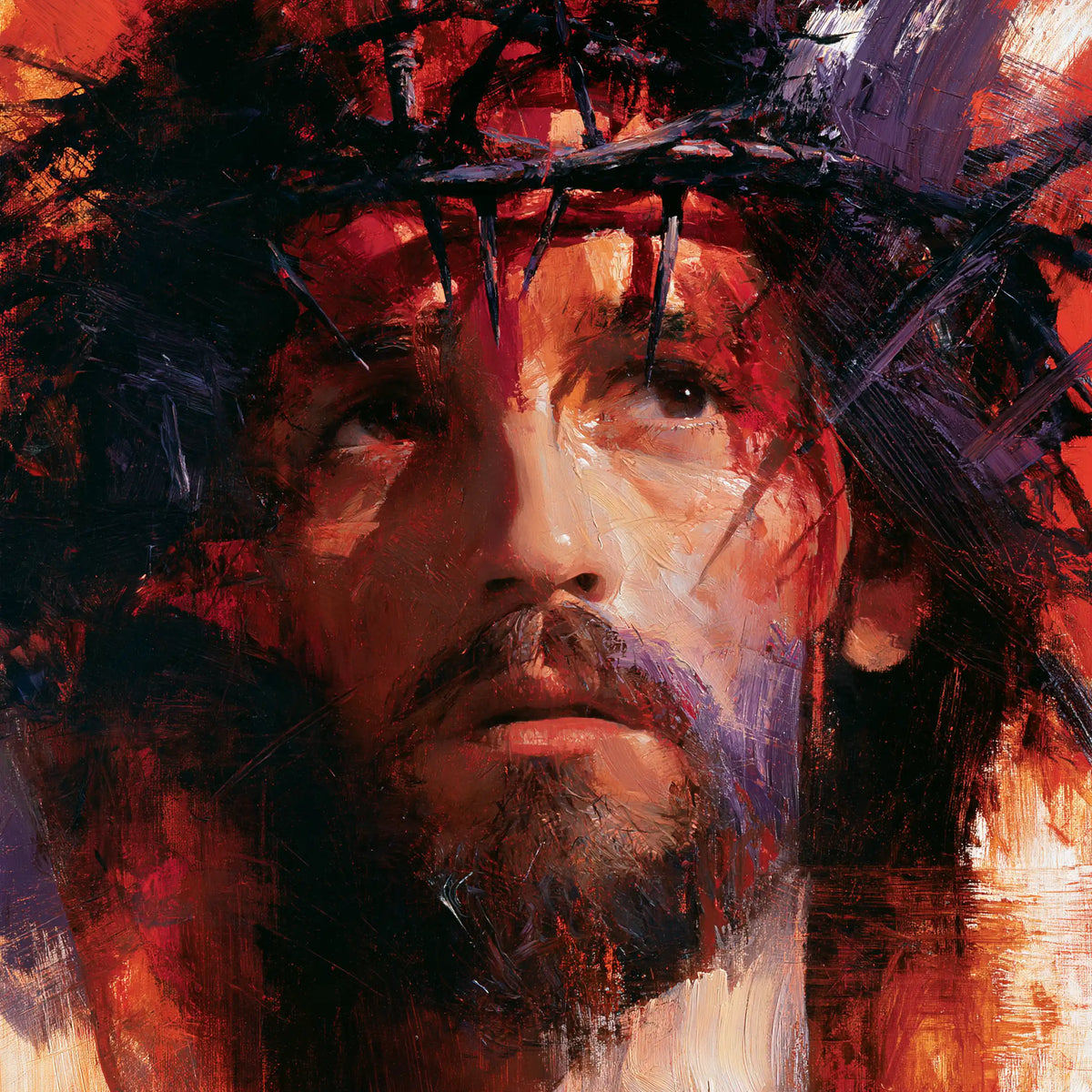 Jésus couronné d’épines — La Joue claire dans la matière sombre