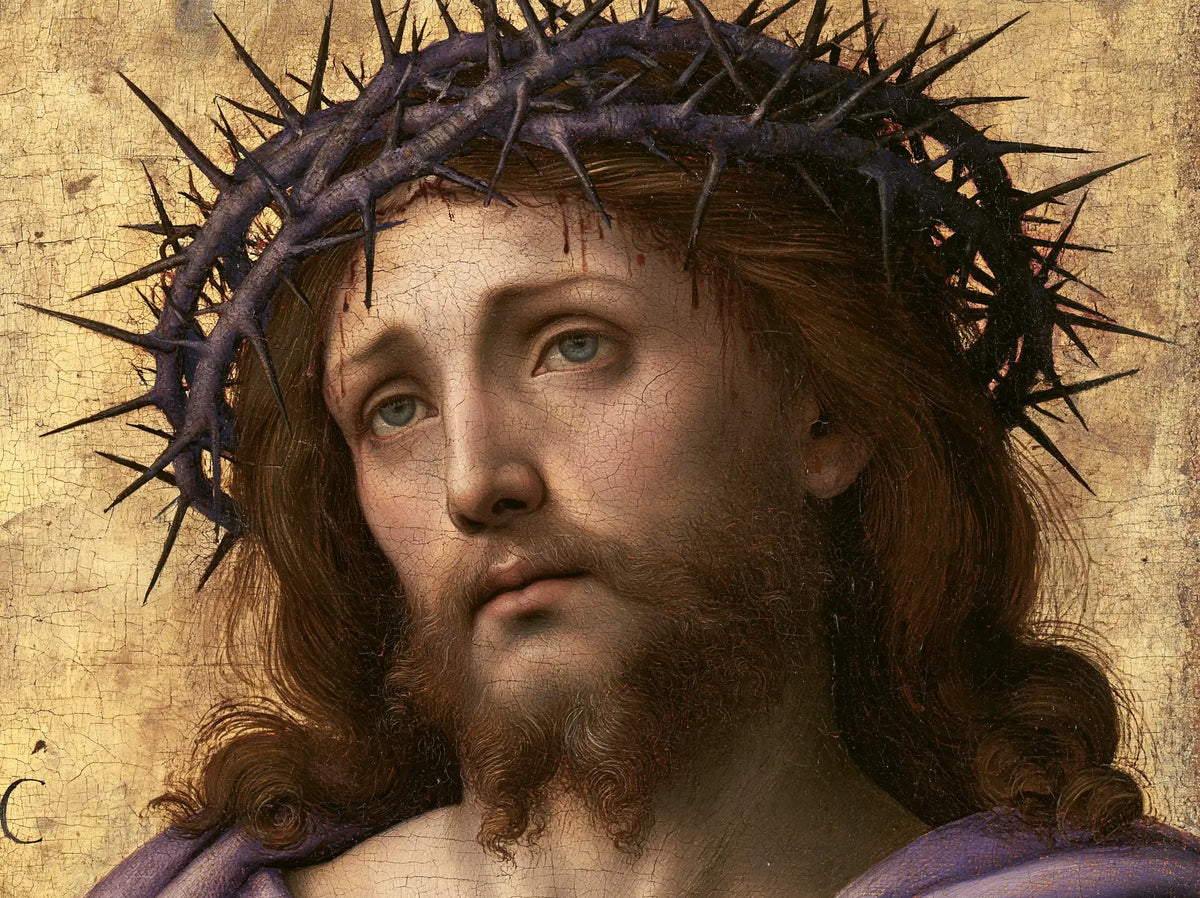 Jésus couronné d’épines — Les Yeux verts sous les ronces violettes