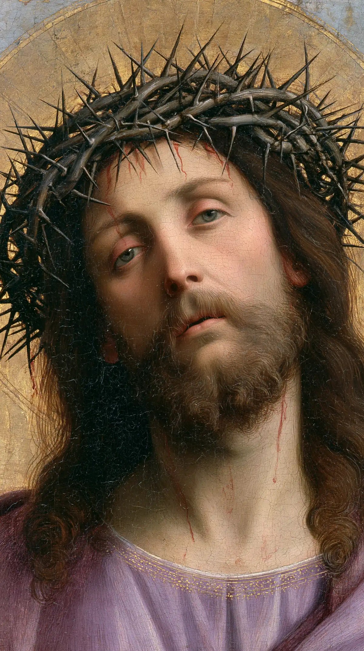 Jésus couronné d’épines — Le Regard doux dans la robe lavande