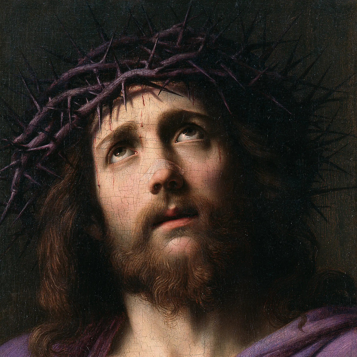 Jésus couronné d’épines — Le Regard dans le vert nocturne
