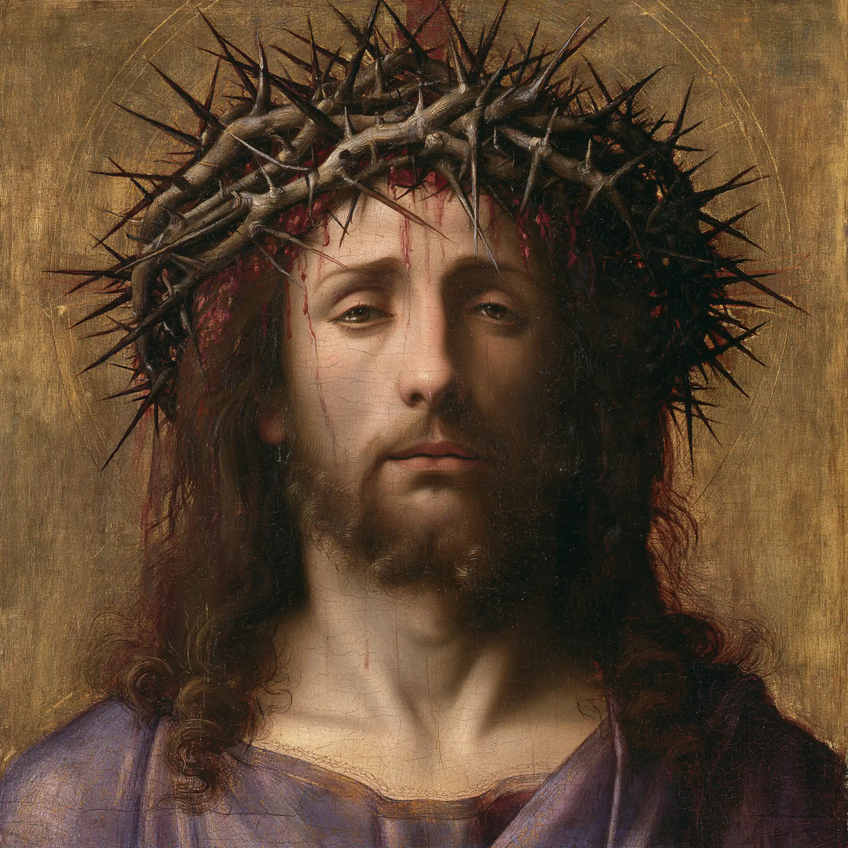 Jésus couronné d’épines — Les Paupières lourdes au-dessus du satin