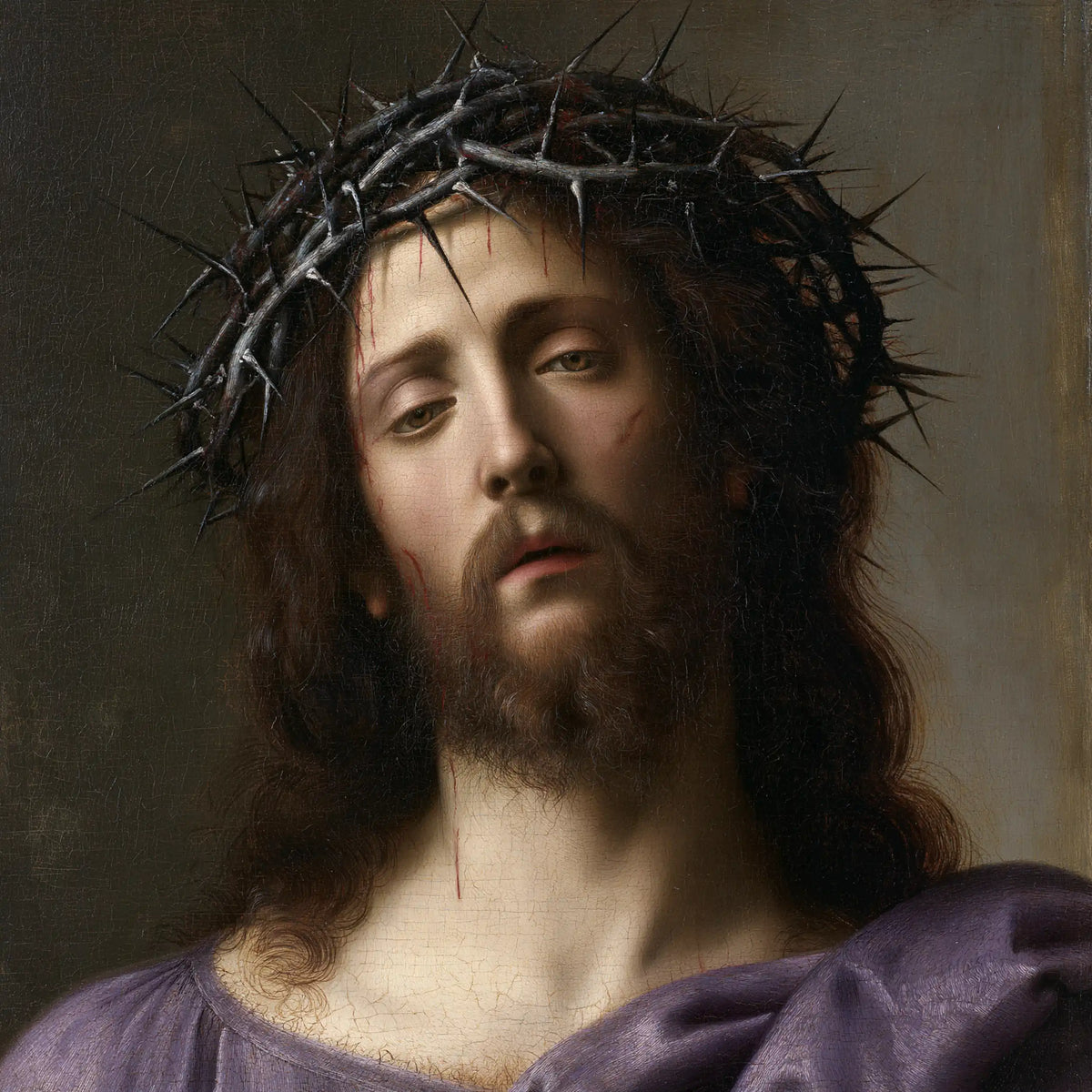 Jésus couronné d’épines — Le Visage long sous les ronces grises