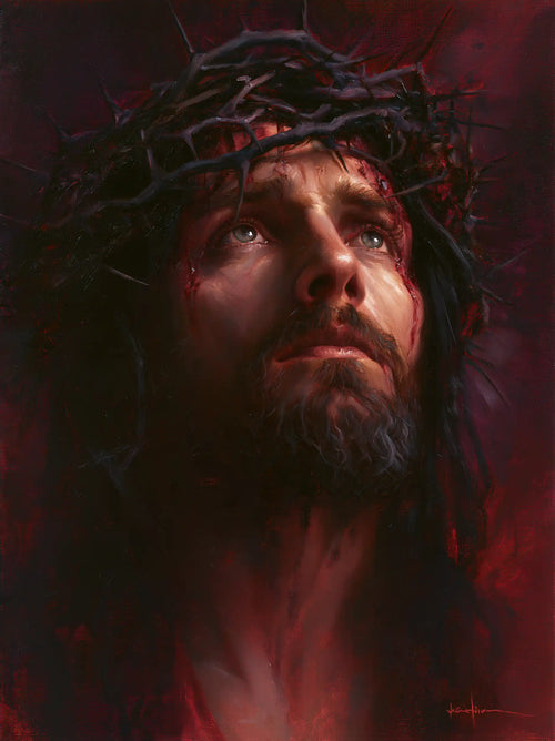 Jesus crowned with thorns with hidden glory in suffering in Hidden Glory in Suffering style, portrait Christian artwork no. 11