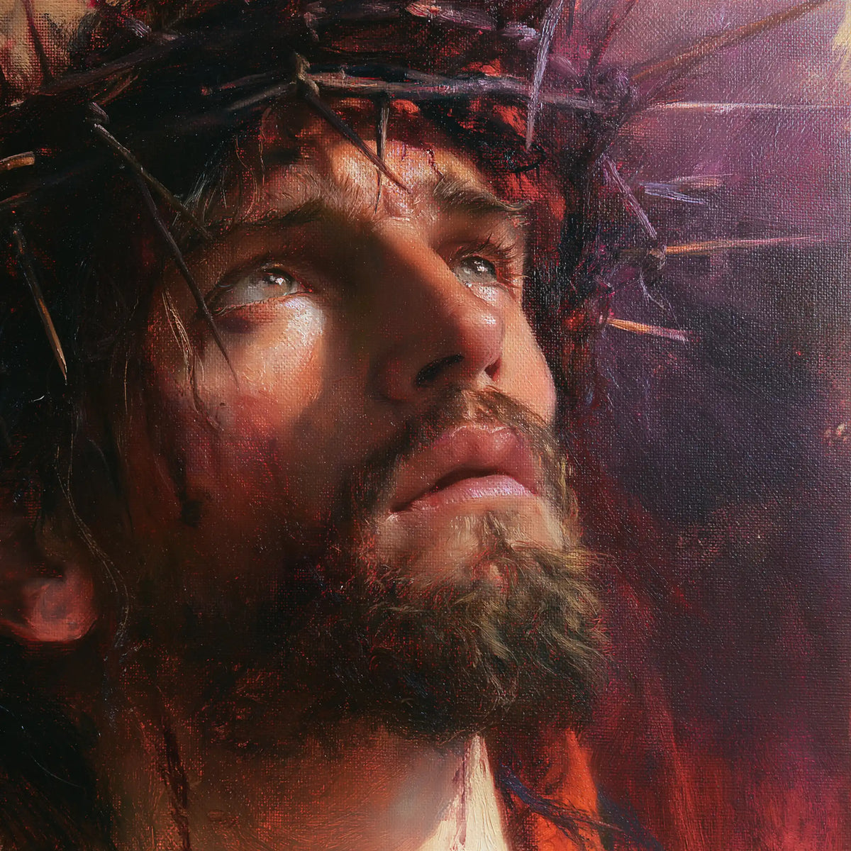 Jésus couronné d’épines — L’Appel à la lumière rose