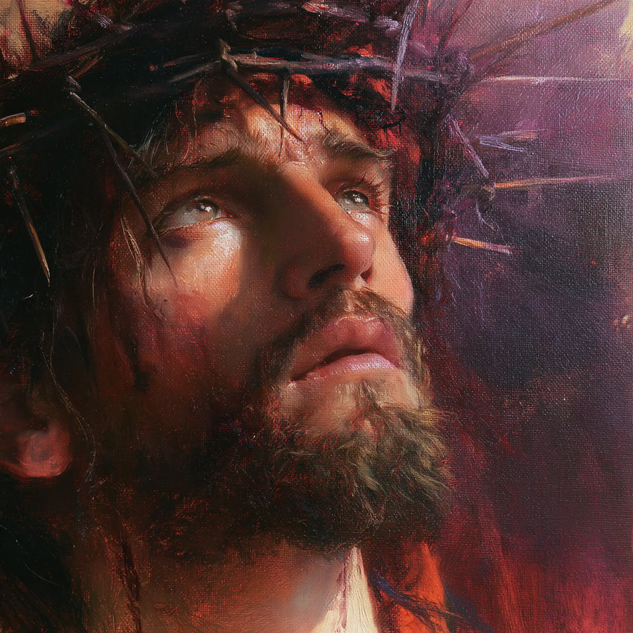 Jésus couronné d’épines — L’Appel à la lumière rose