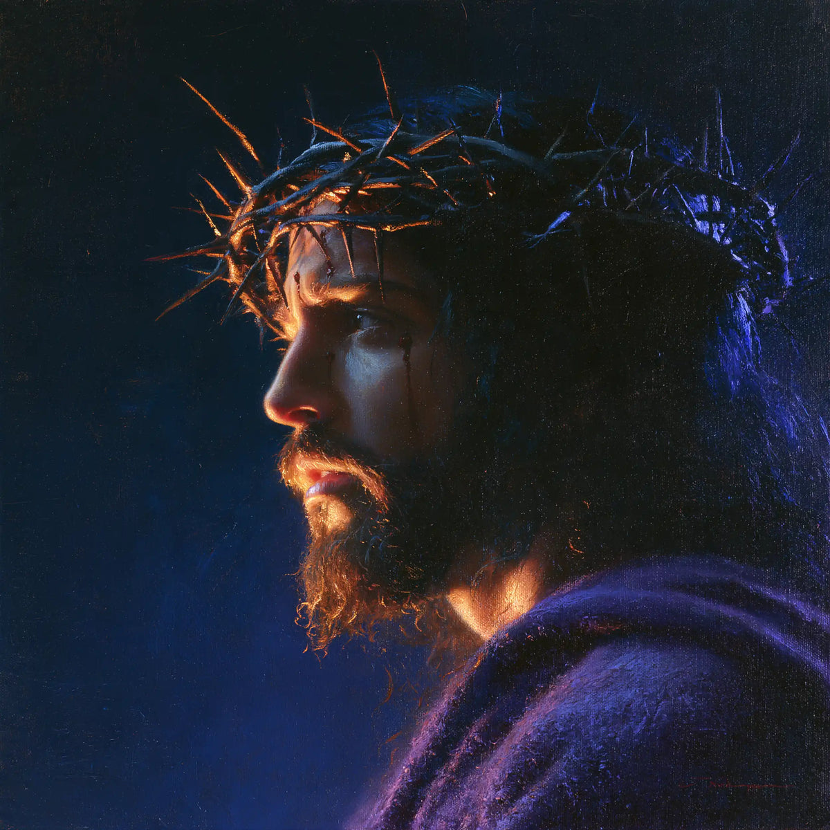 Jésus couronné d’épines — La Lueur rousse du profil immobile