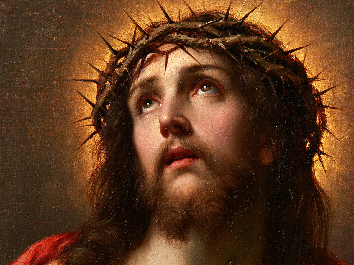 Jésus couronné d’épines — L’Appel au halo de miel