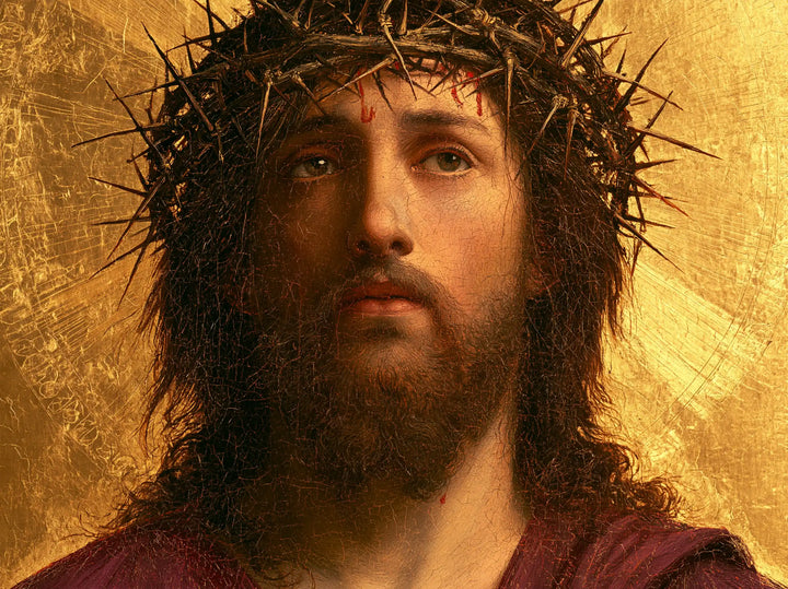 Jésus couronné d’épines — La Joue d’ambre sous le cercle d’épines