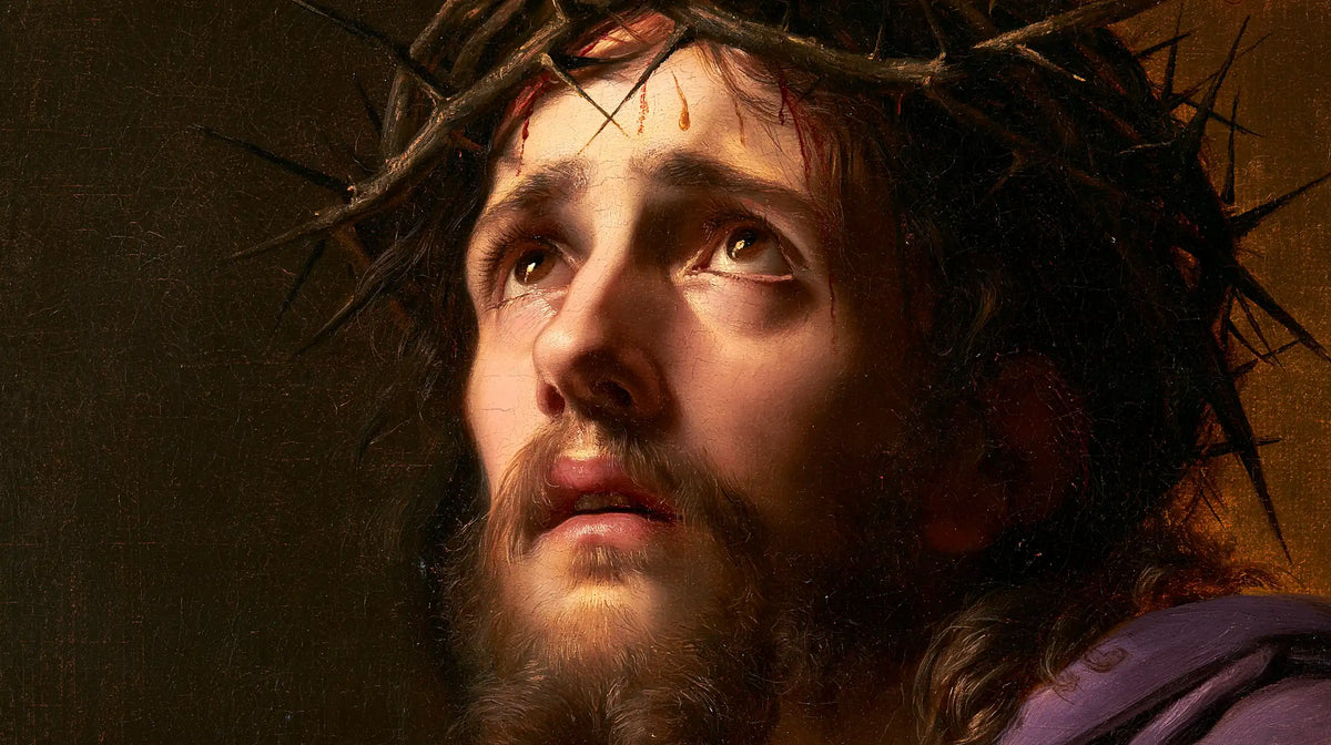 Jésus couronné d’épines — Les Yeux humides dans la lumière tendre