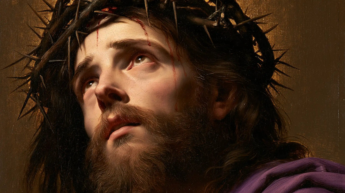 Jésus couronné d’épines — Le Profil aux larmes discrètes