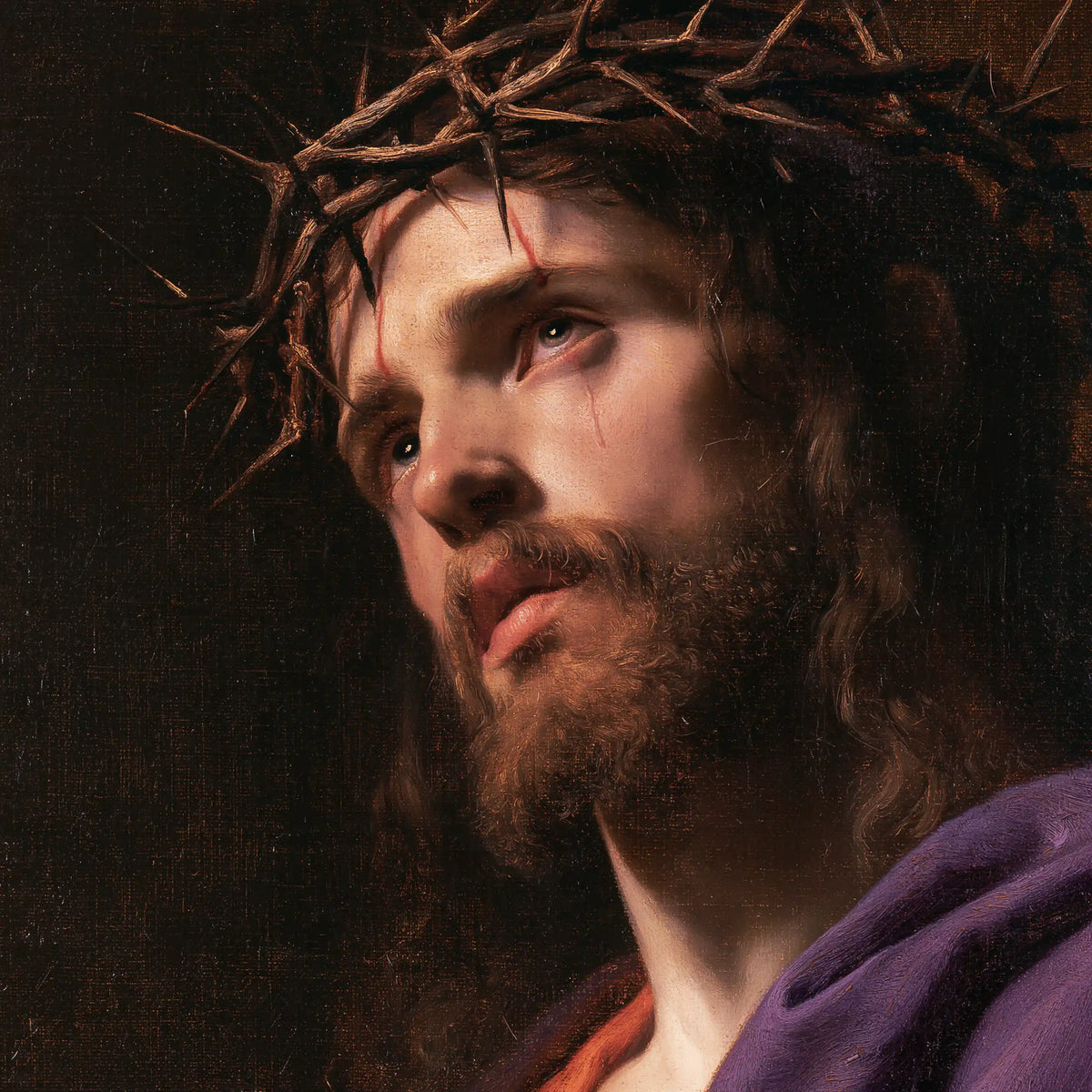 Jésus couronné d’épines — La Douleur de profil dans le noir calme