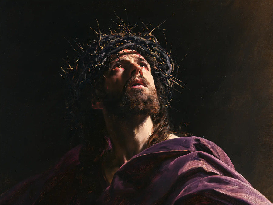 Jésus couronné d’épines — Le Regard au-dessus de la grande draperie