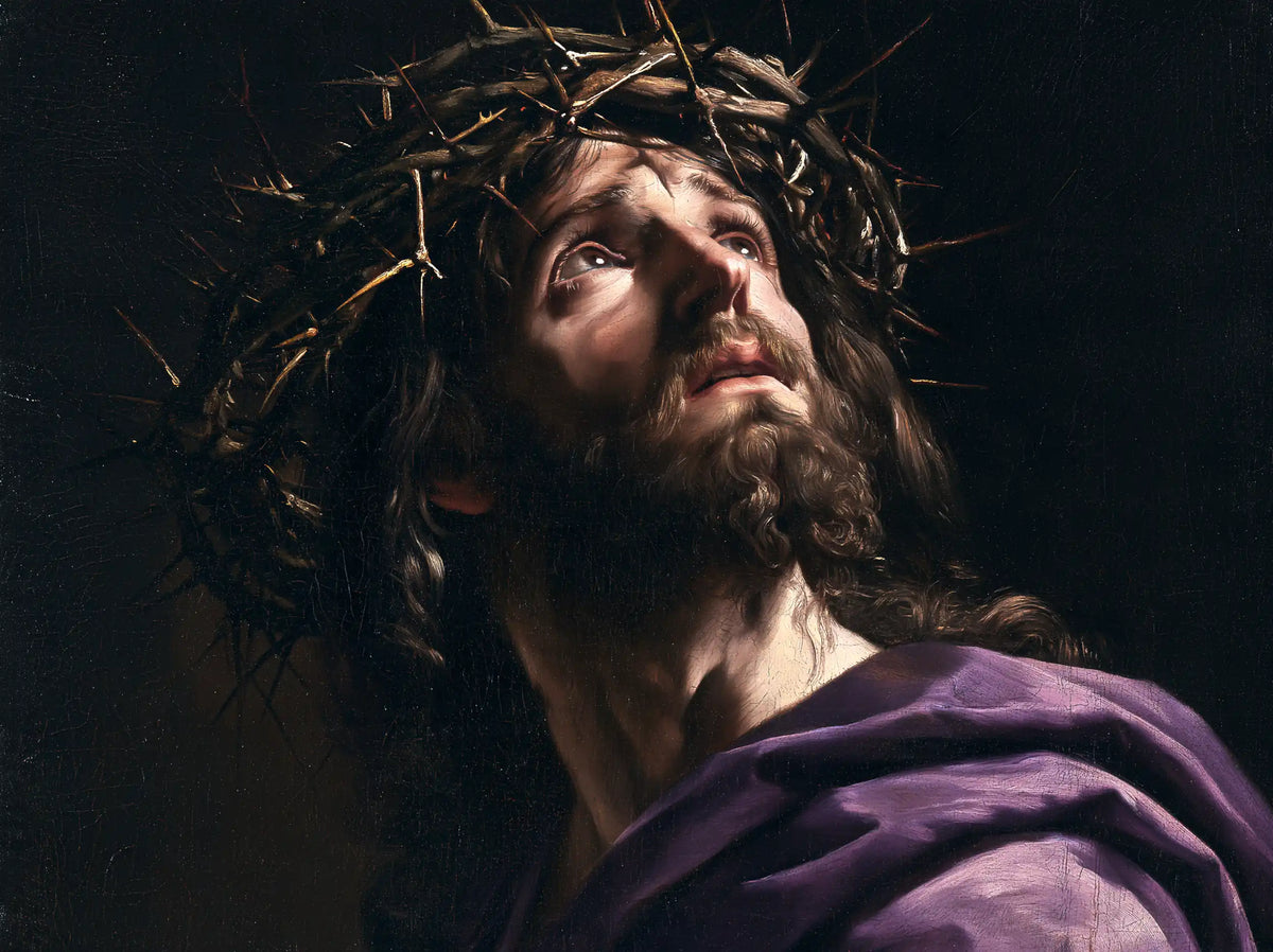 Jésus couronné d’épines — Le Visage levé dans le satin sombre