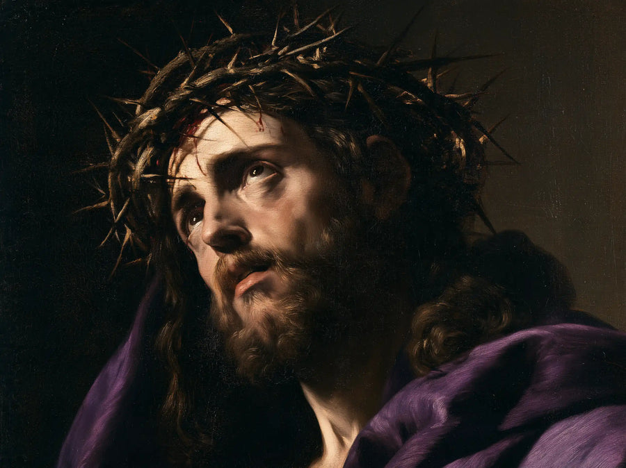 Jésus couronné d’épines — Le Regard sous l’arc des ronces