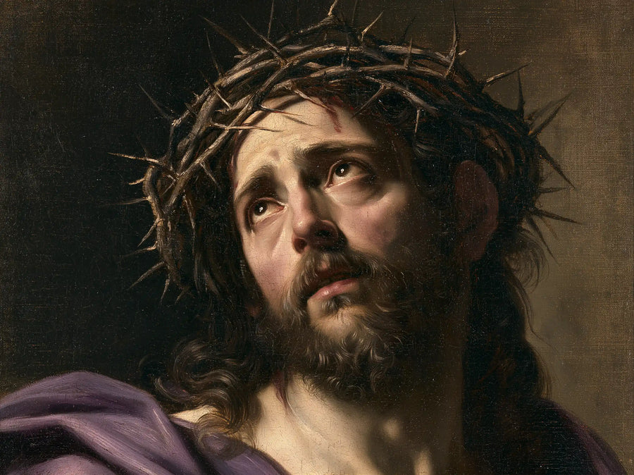 Jésus couronné d’épines — La Joue claire au-dessus du pli mauve