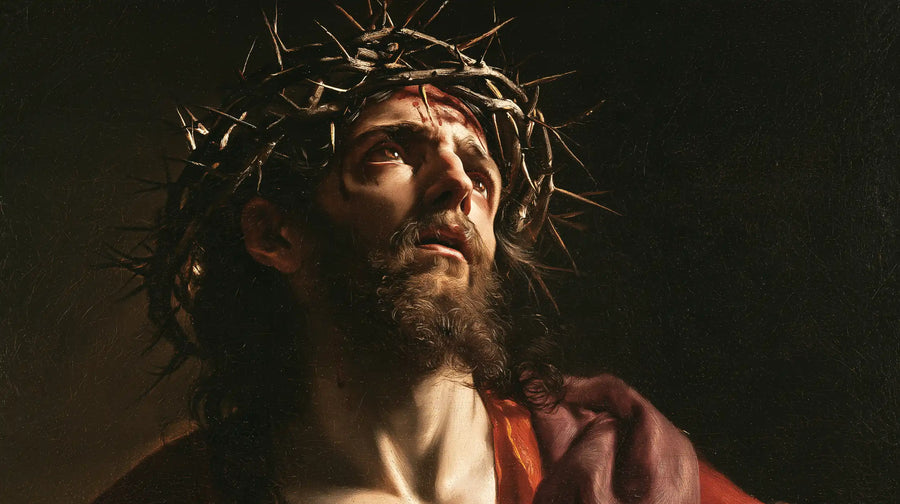 Jésus couronné d’épines — Le Cou de lumière dans l’espace brun