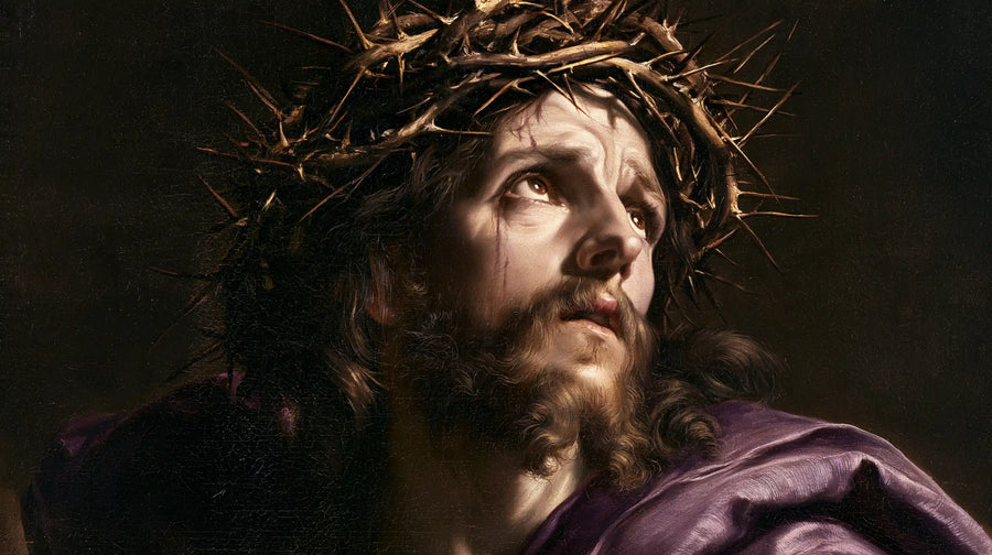 Jésus couronné d’épines — La Larme dans les plis de satin