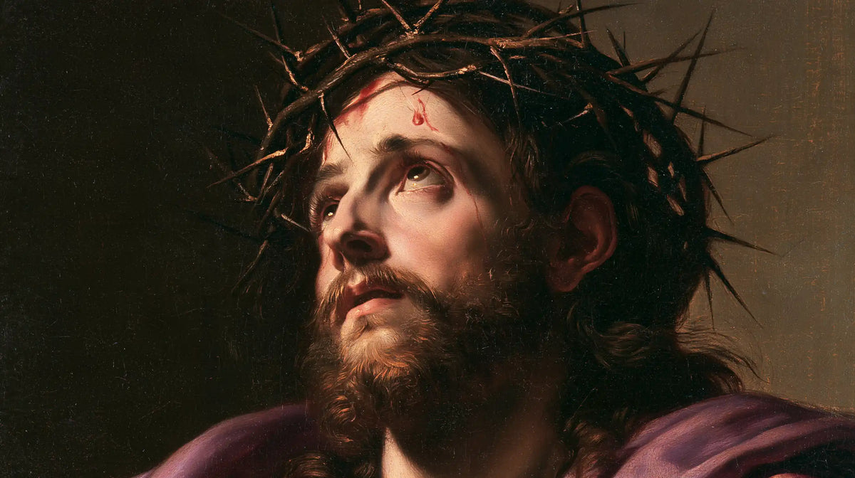 Jésus couronné d’épines — La Goutte rouge sous les épines