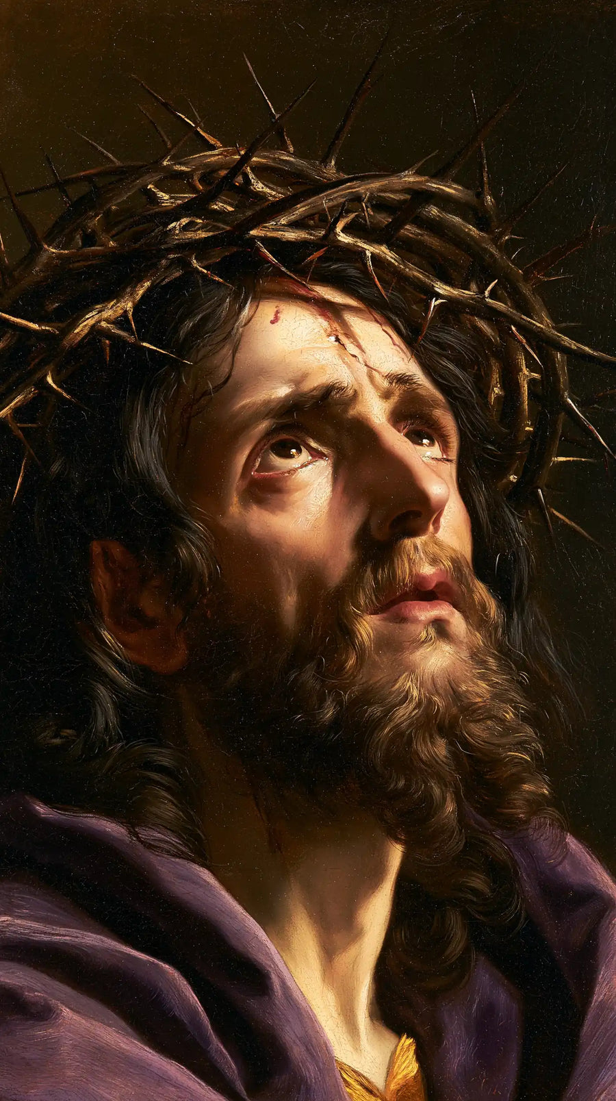 Jésus couronné d’épines — Les Traits graves dans la lumière étroite