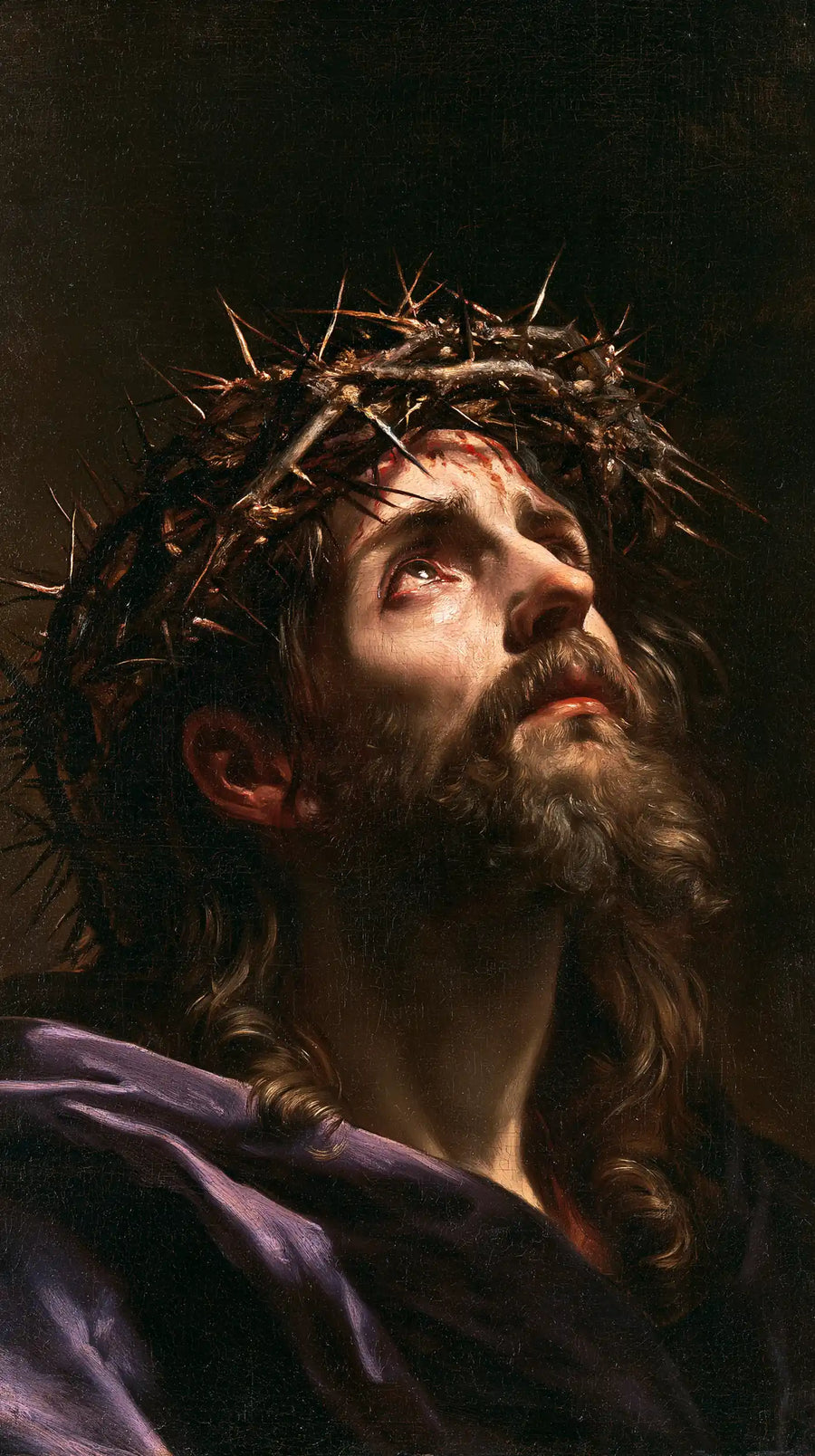 Jésus couronné d’épines — Le Regard au-delà de la haute ombre