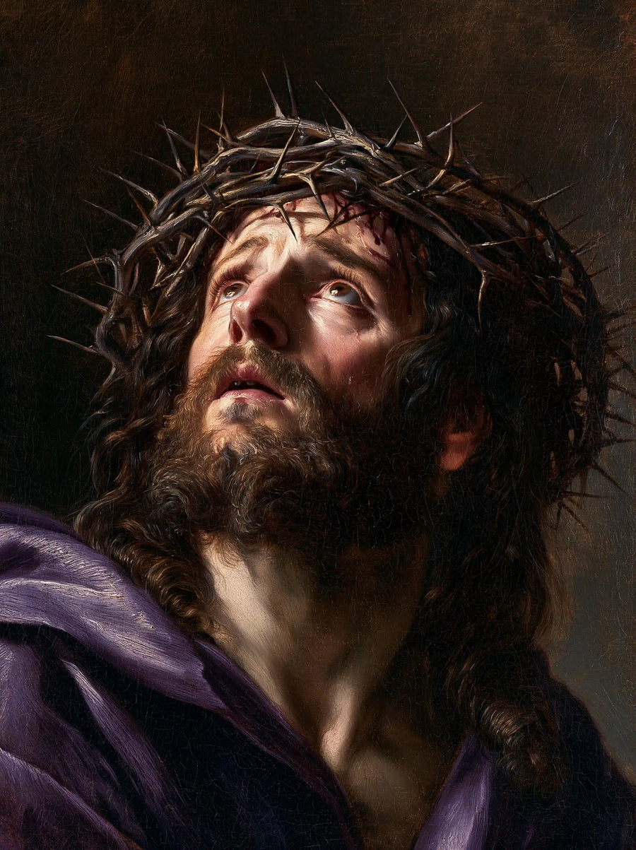Jésus couronné d’épines — La Douleur dans les reflets du satin