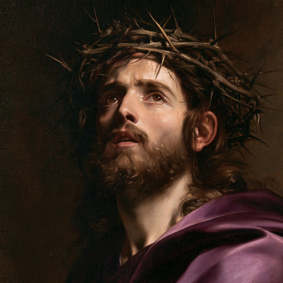 Jésus couronné d’épines — La Clarté du visage au-dessus du velours