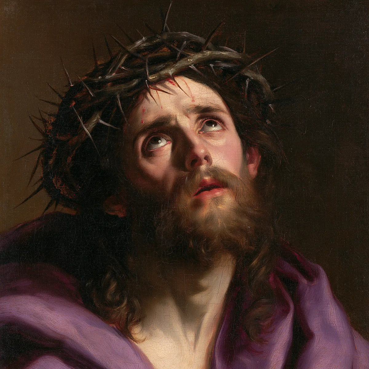 Jésus couronné d’épines — Le Regard vert dans la tenture pourpre