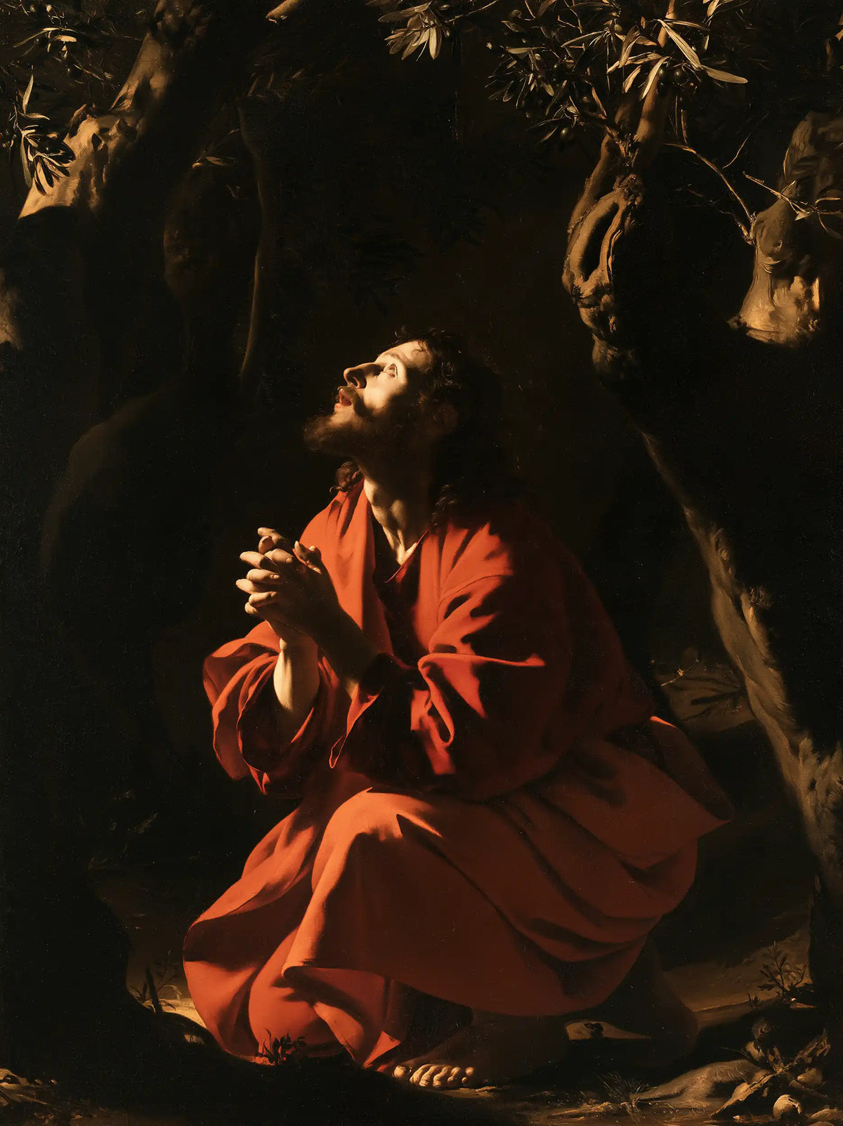 Jésus à Gethsémani — L’Écoute sous l’écorce ancienne