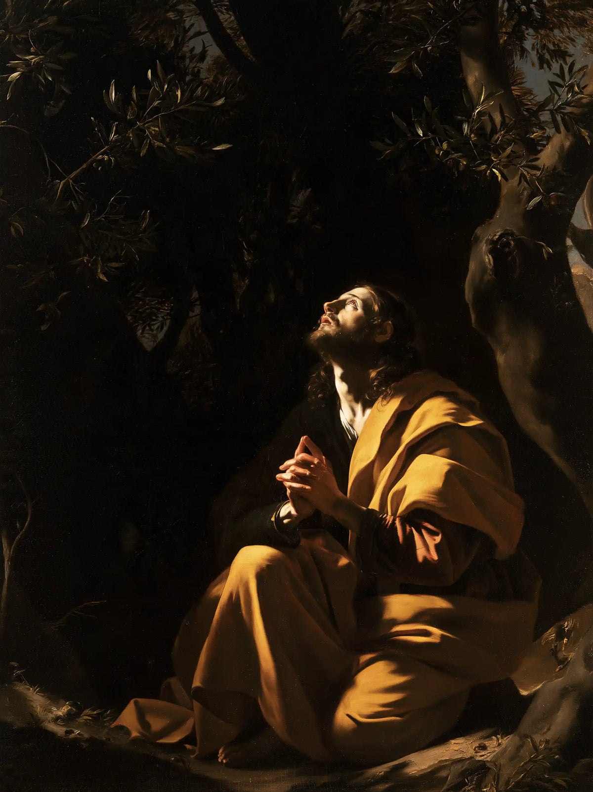 Jésus à Gethsémani — Le Manteau de miel dans l’ombre