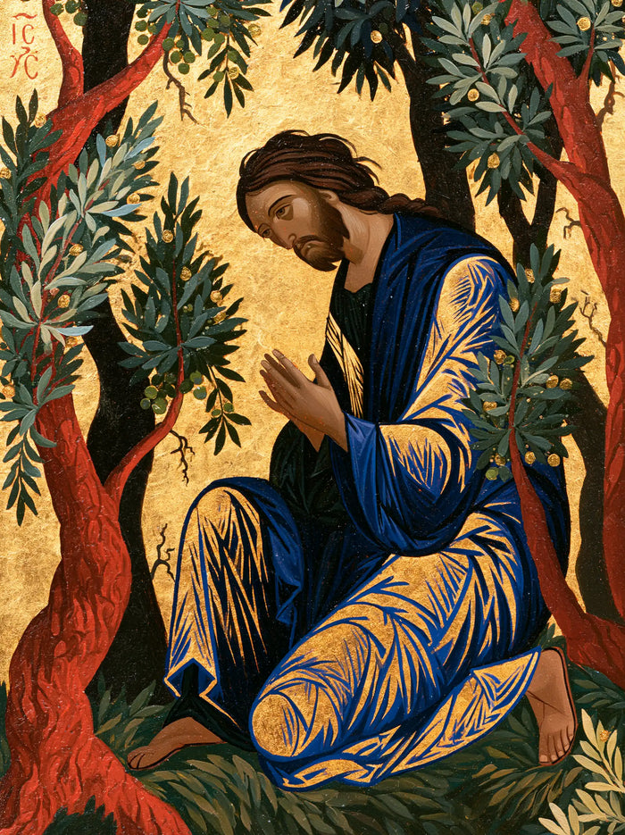 Jésus à Gethsémani — Les Plis où fleurit la lumière