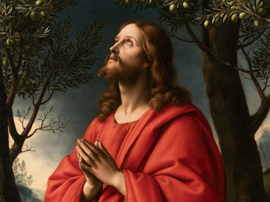 Jésus à Gethsémani — Le Visage sous les olives mûres
