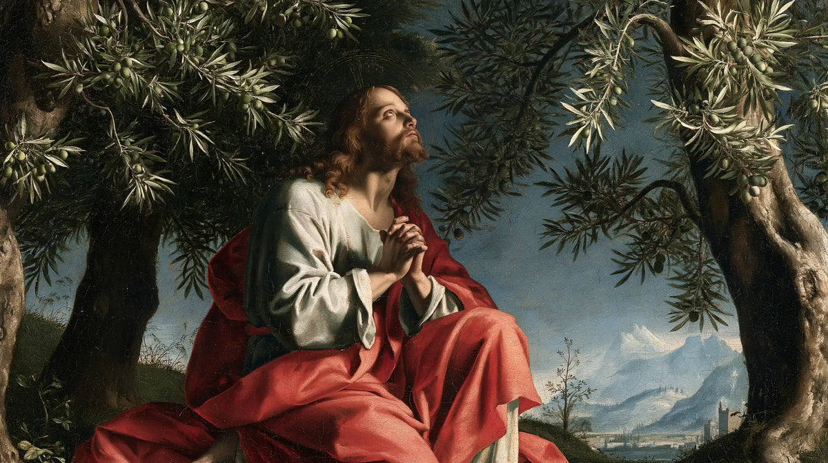Jésus à Gethsémani — Le Manteau rose face aux montagnes