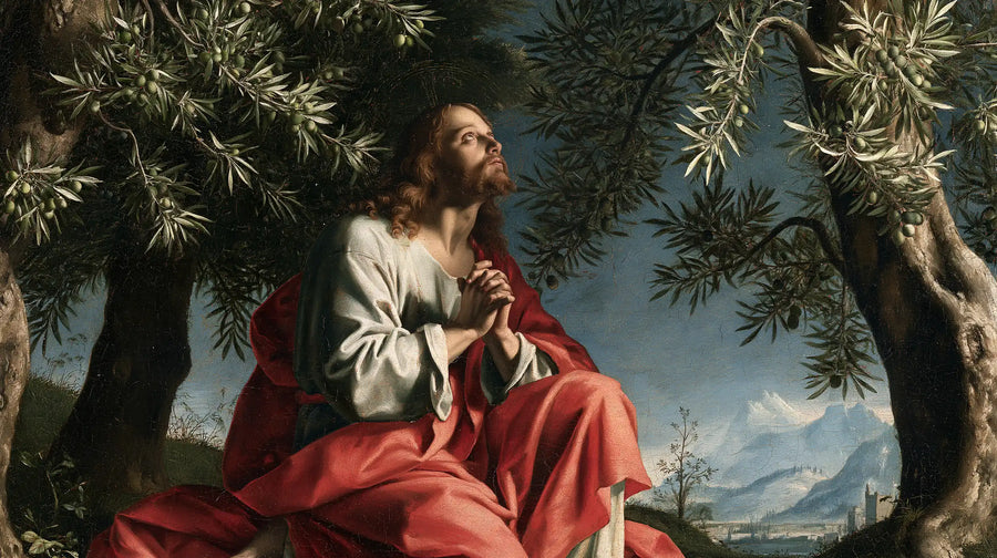 Jésus à Gethsémani — Le Manteau rose face aux montagnes