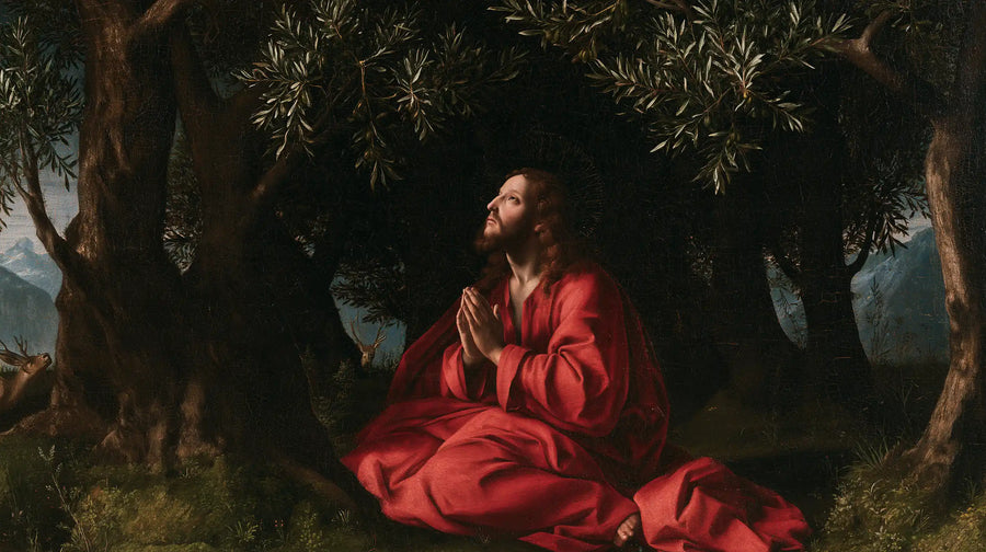 Jésus à Gethsémani — Le Rouge sous le dais des oliviers