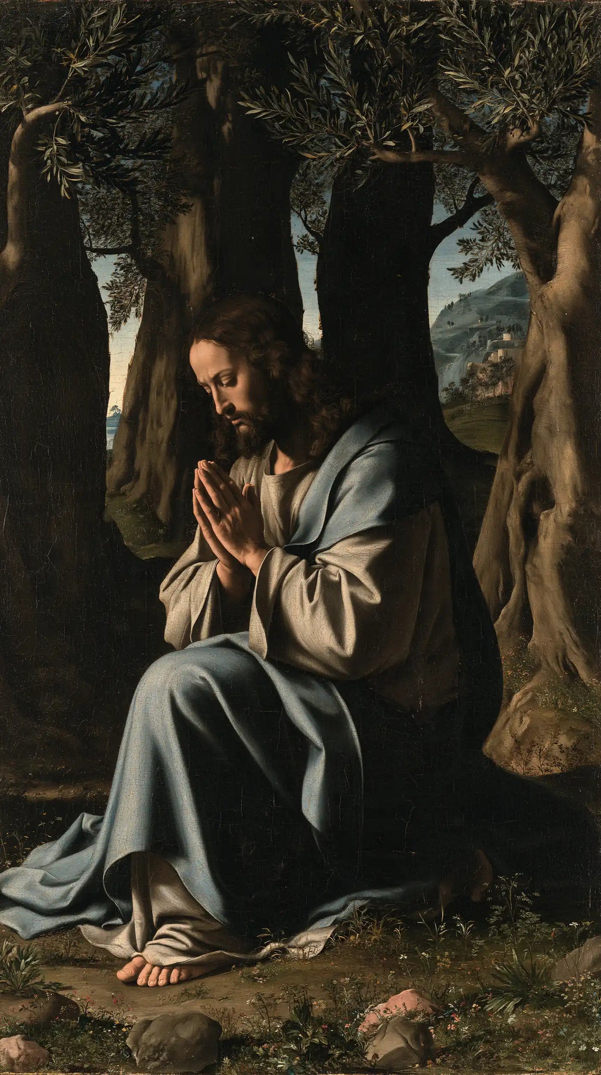 Jésus à Gethsémani — Le Gris paisible sous les oliviers