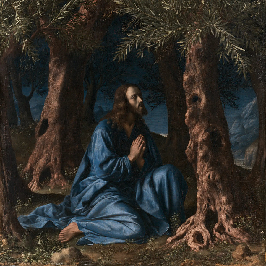 Jésus à Gethsémani — Le Bleu entre les troncs de terre rose