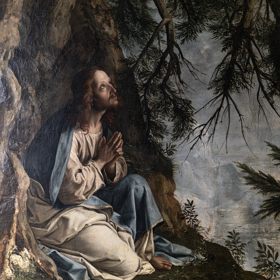 Jésus à Gethsémani — Le Refuge au creux du grand arbre