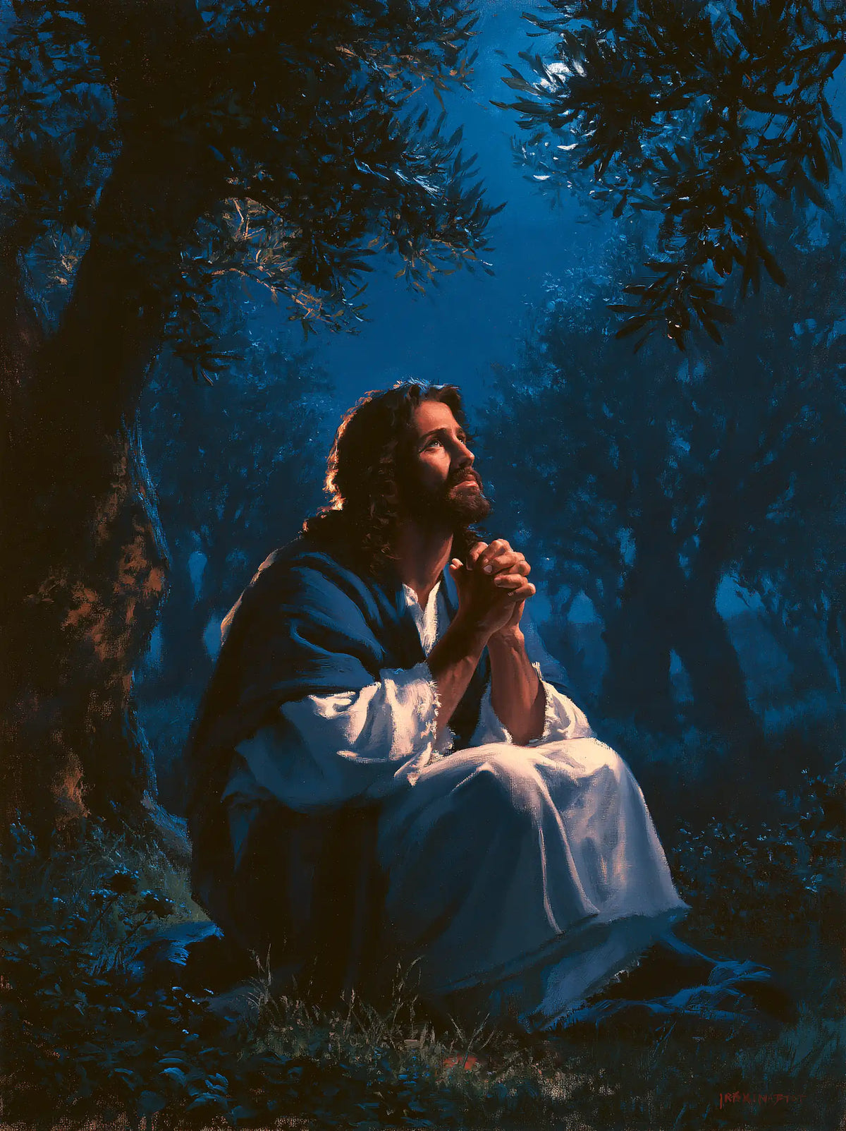 Jésus à Gethsémani — Le Regard dans la fenêtre des branches