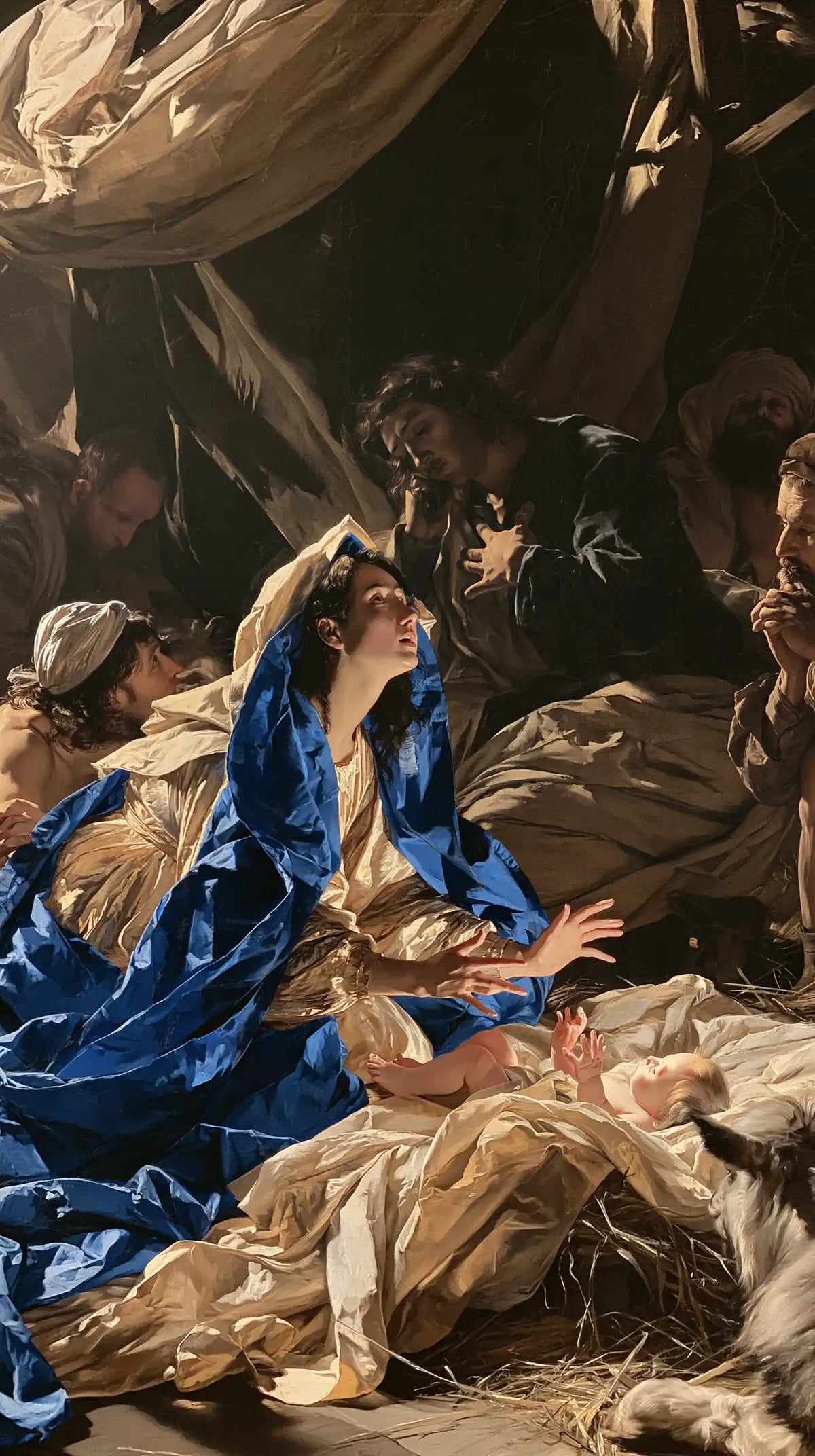 La Nativité — Le Bleu royal auprès de la paille